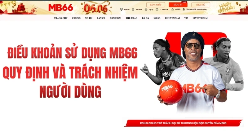Điều Khoản Và Điều Kiện MB66 – Quy Định Sử Dụng Dịch Vụ